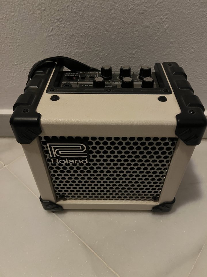 Roland Micro Cube