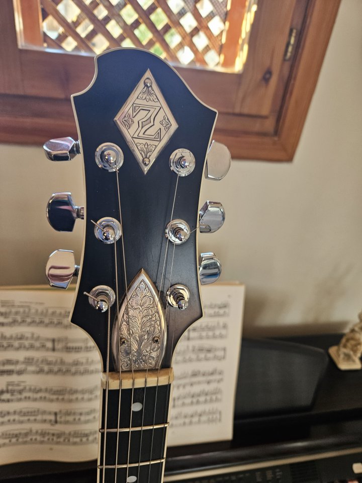 Cambio Greco Zemaitis GZMF 500