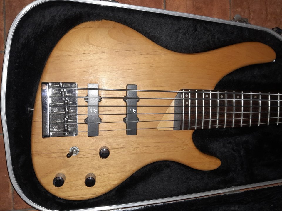 Washburn Bantam XB600