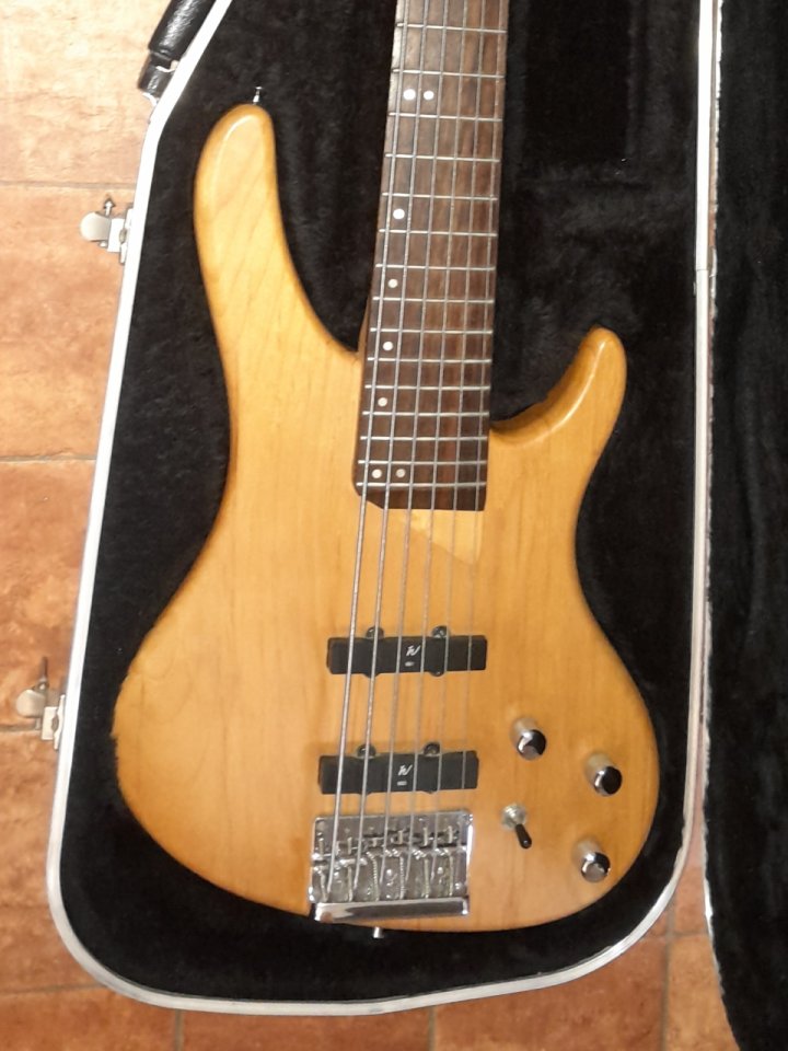 Washburn Bantam XB600