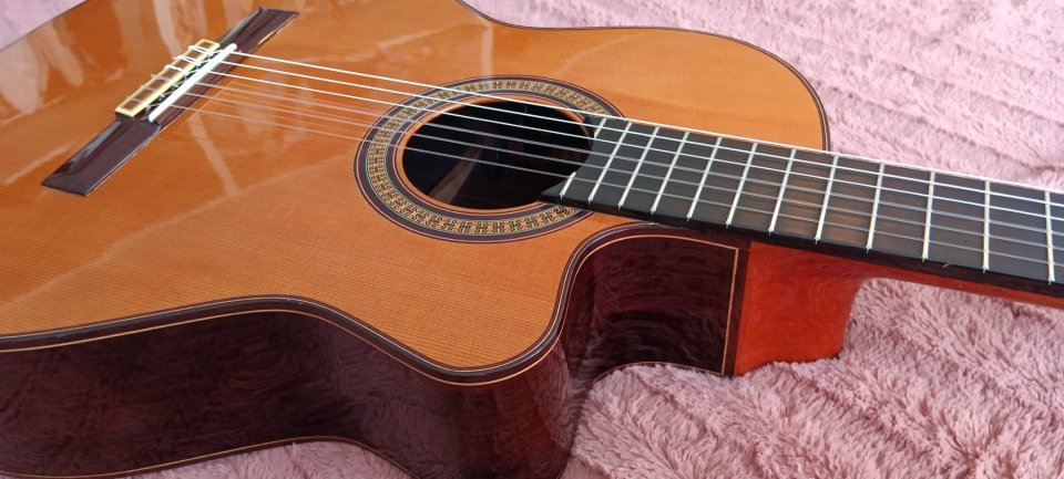 Ramírez 2CWE Electrificada