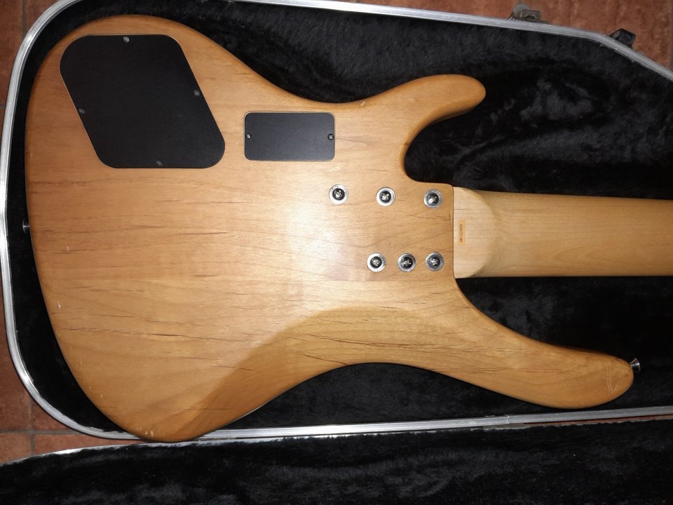 Washburn Bantam XB600