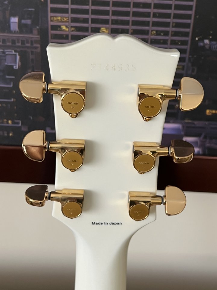 Tokai LC230S SW- Blanco