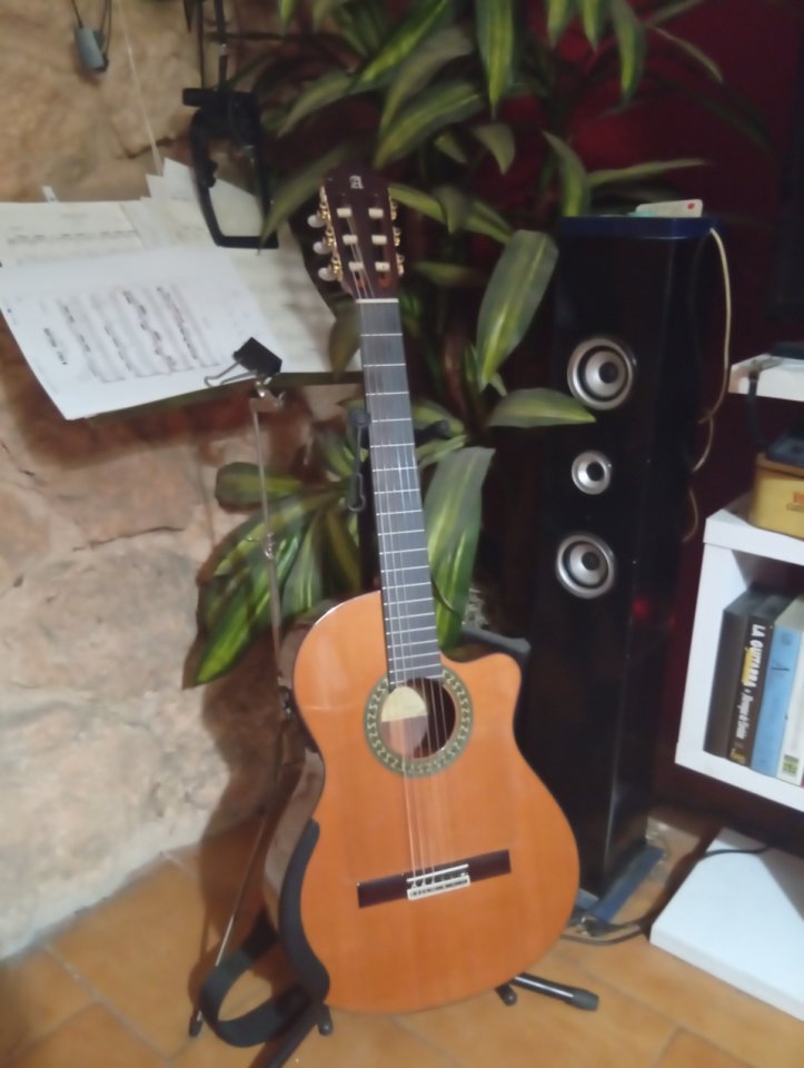 Guitarra Alhambra 5Pcw E2