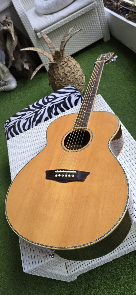 guitarra washburn wg26s de segunda mano · Foto 1 de 9 · Madrid