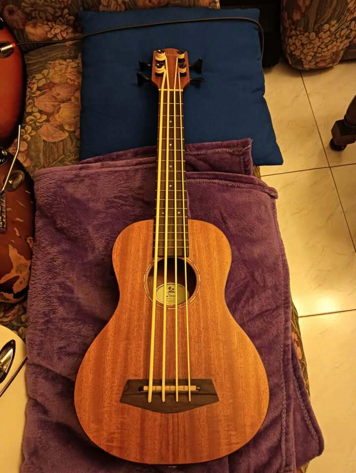 Vendo cambio U-Bass donner