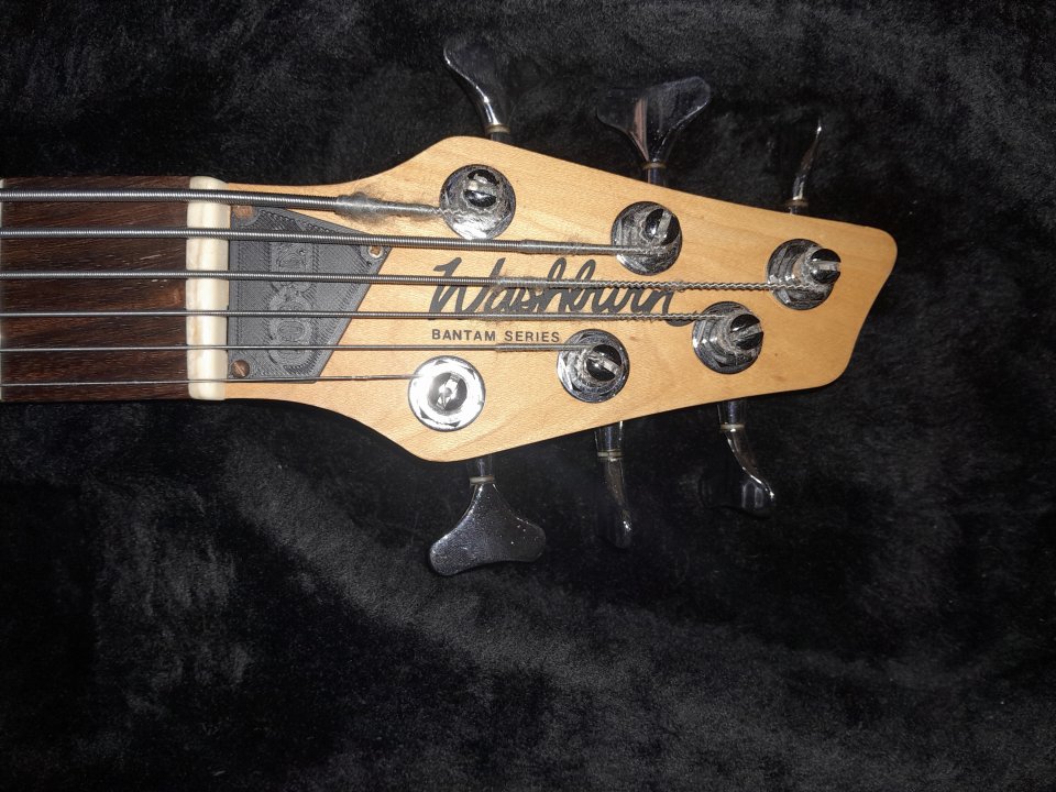 Washburn Bantam XB600