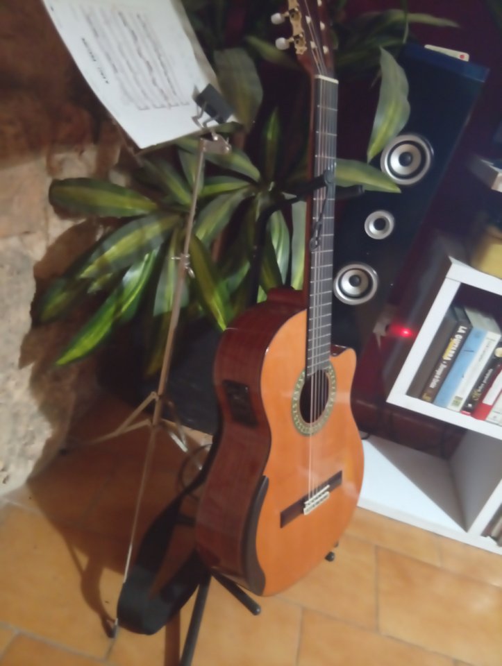 Guitarra Alhambra 5Pcw E2