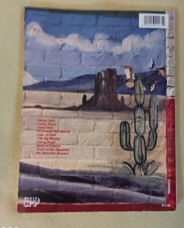 SPRINGSTEEN. LUCKY TOWN partituras guitarra