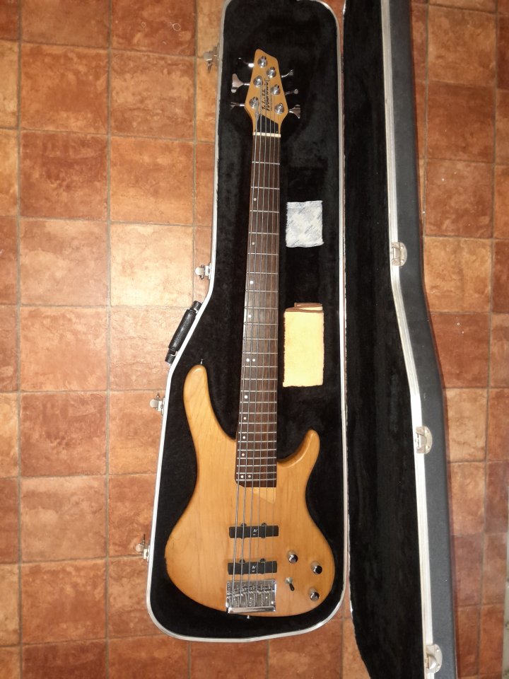 Washburn Bantam XB600