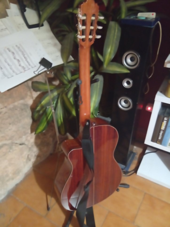 Guitarra Alhambra 5Pcw E2