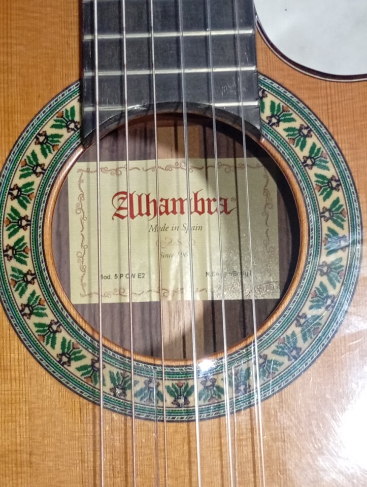 Guitarra Alhambra 5Pcw E2