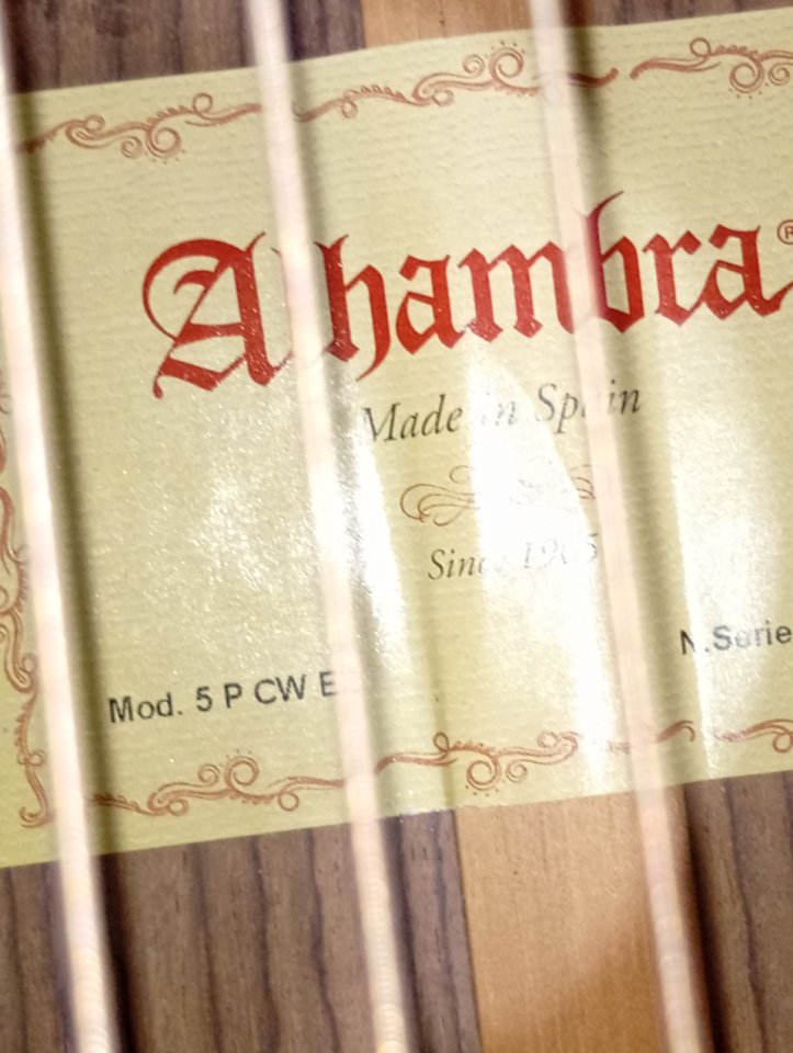 Guitarra Alhambra 5Pcw E2