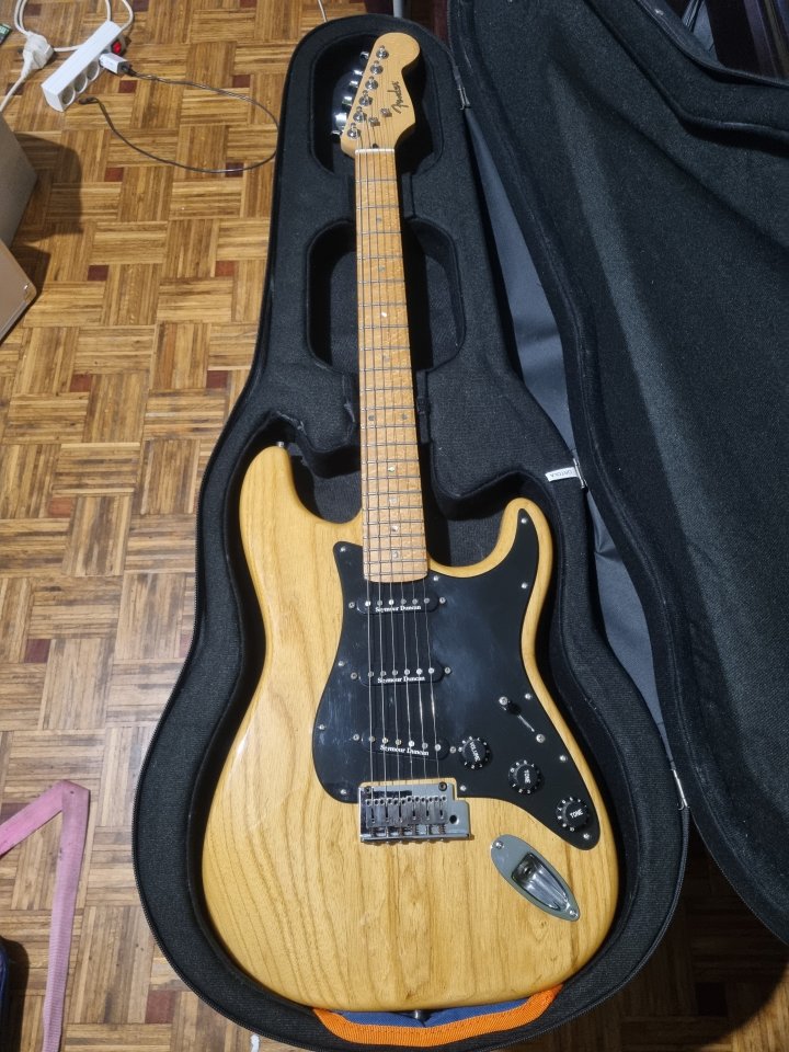 Fender Stratocaster Lite Ash