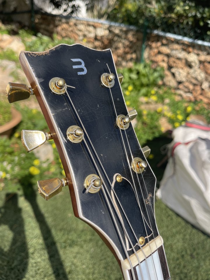 Relic Lp double cut, badak relics