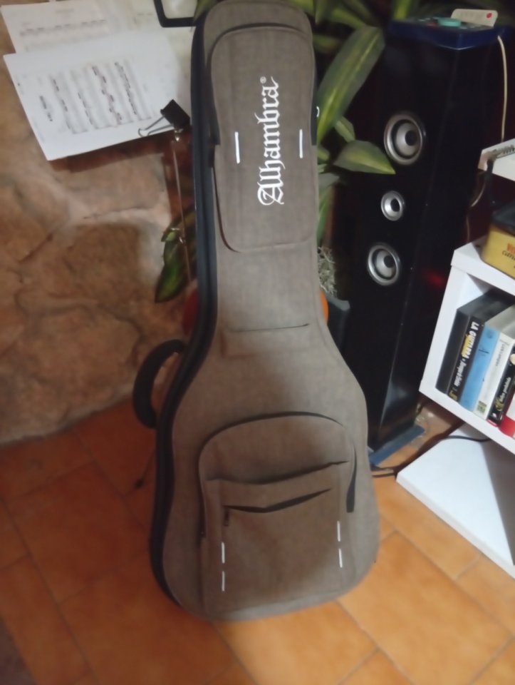 Guitarra Alhambra 5Pcw E2