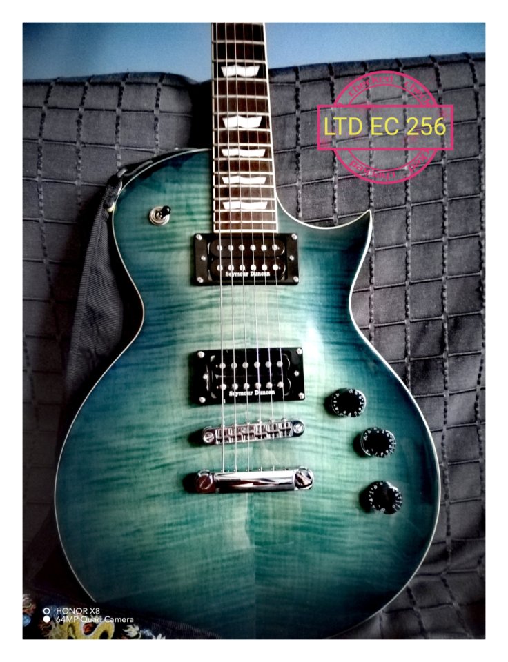 ESP LTD EC-256