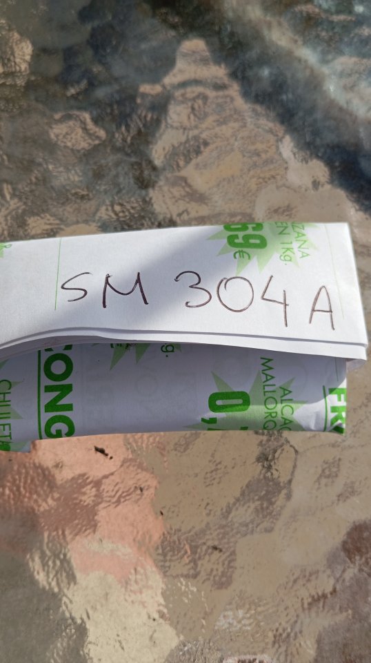 Chip SM304A  Korg CX 3