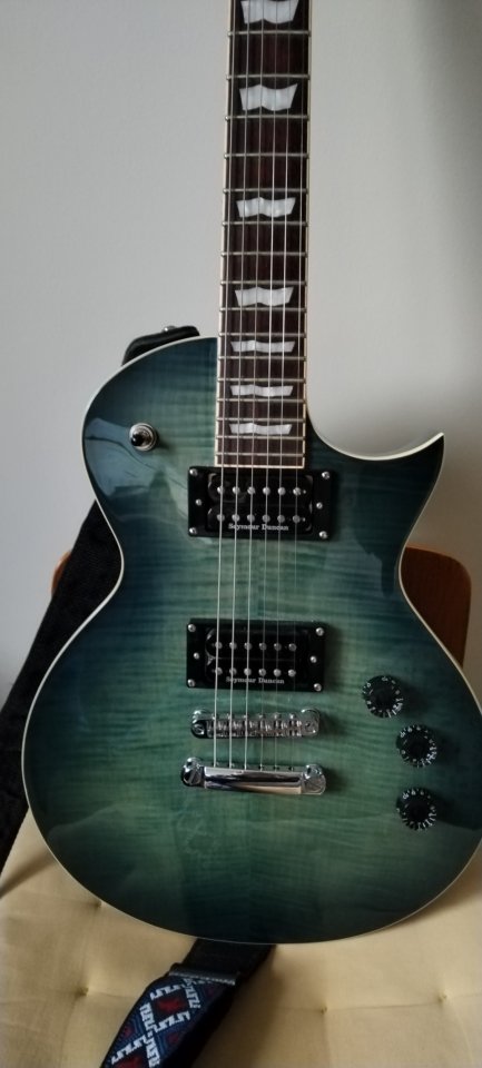 ESP LTD EC-256