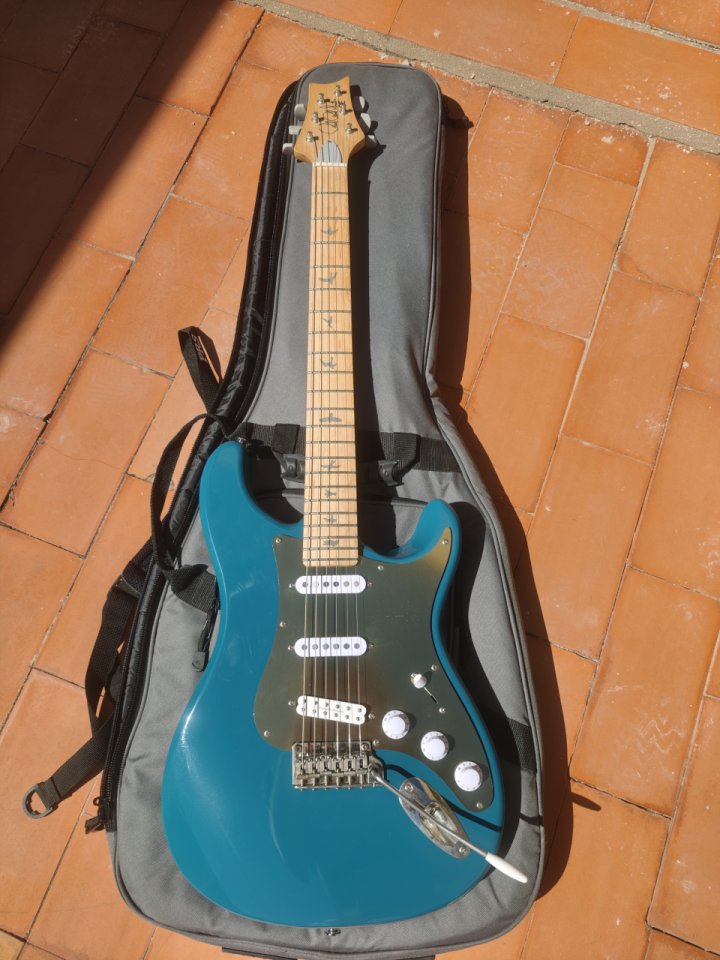PRS SE Silver Sky Nylon Blue (Incl. funda+mejoras) de segunda mano · Foto 1 de 9 · Alicante · 700 €