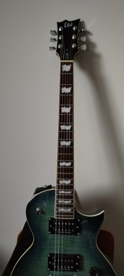 ESP LTD EC-256