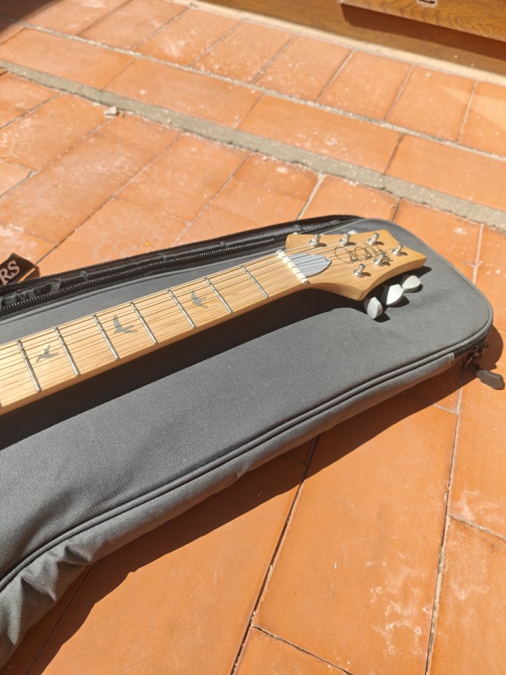 PRS SE Silver Sky Nylon Blue (Incl. funda+mejoras) de segunda mano · Foto 5 de 9 · Alicante · 700 €