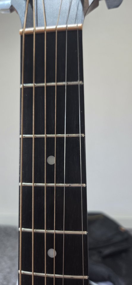 Taylor 110GB (USA) | Ébano