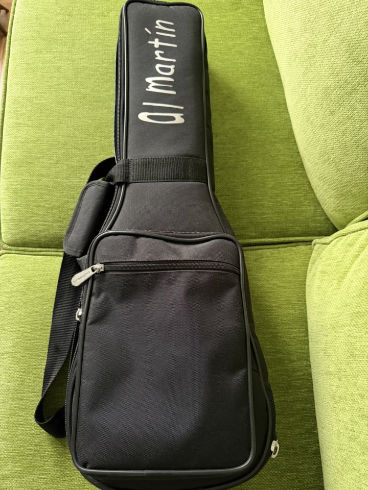 Mini LesPaul - Travel guitar