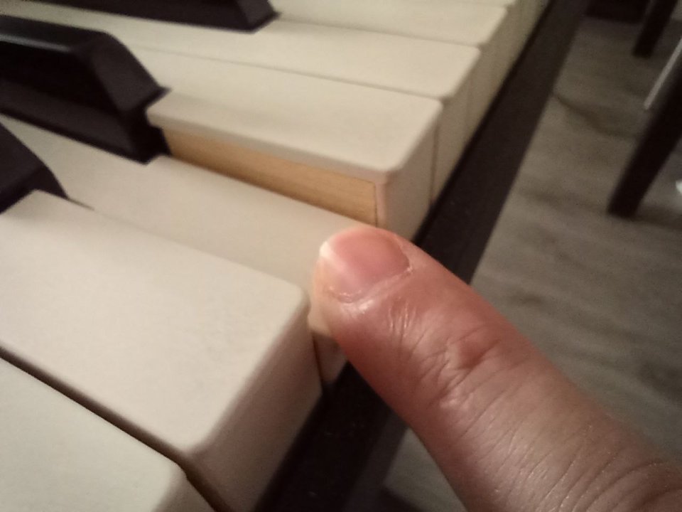 Studiologic SL88 GRAND MADERA controlador MIDI-USB de segunda mano · Foto 5 de 10 · Madrid · 450 €