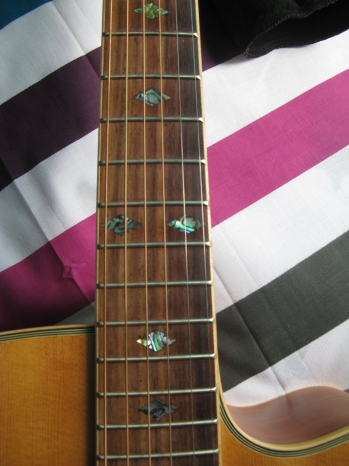 Electro Acústica Tanglewood TW-115 ST CE