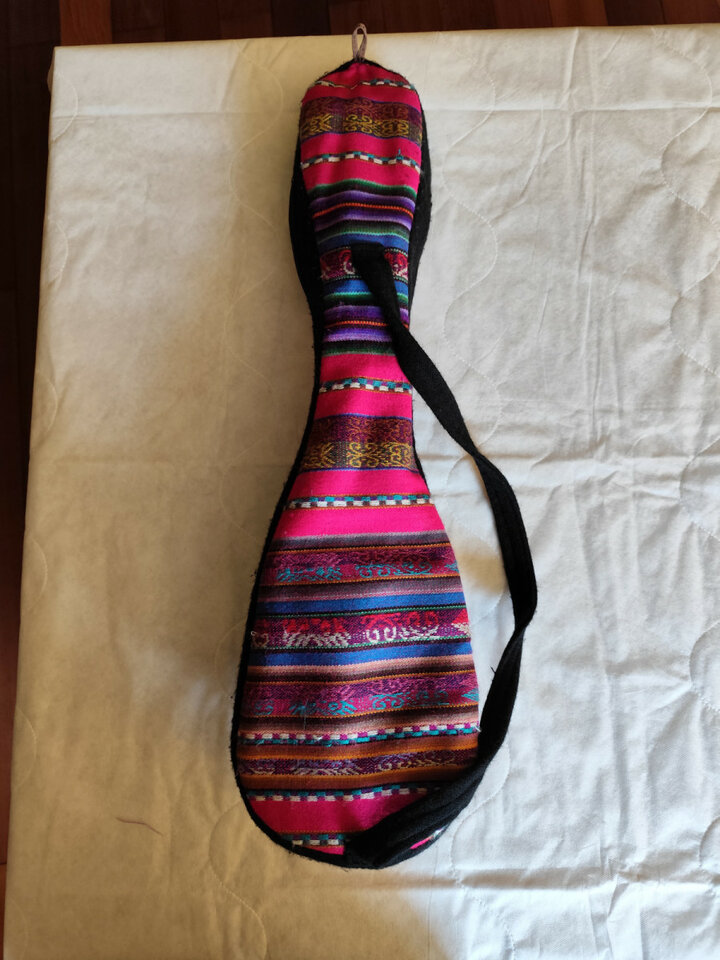 charango armadillo de segunda mano · Foto 4 de 4 · Zaragoza · 320 €