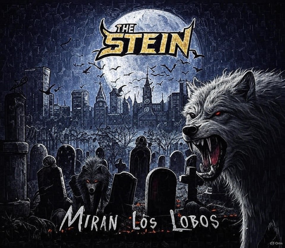 The Stein busca cantante de segunda mano · Madrid