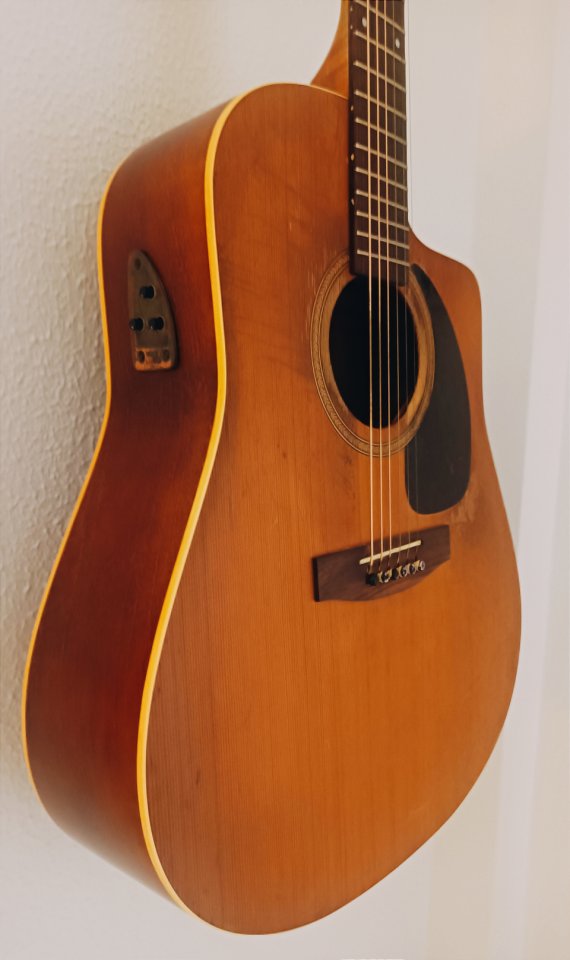 S6 / CW Seagull Electroacustica de segunda mano · Foto 1 de 6 · Cádiz · 350 €