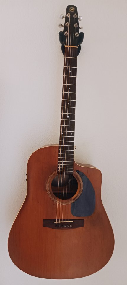 S6 / CW Seagull Electroacustica de segunda mano · Foto 2 de 6 · Cádiz · 350 €