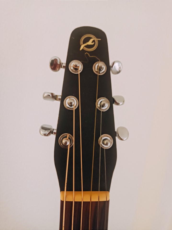 S6 / CW Seagull Electroacustica de segunda mano · Foto 3 de 6 · Cádiz · 350 €