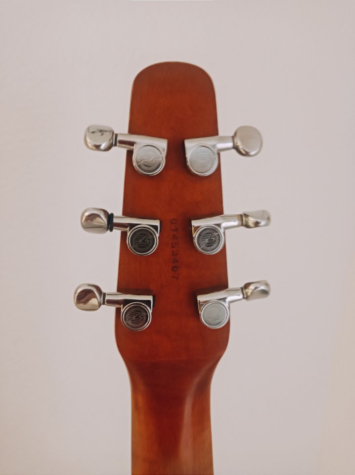 S6 / CW Seagull Electroacustica de segunda mano · Foto 4 de 6 · Cádiz · 350 €
