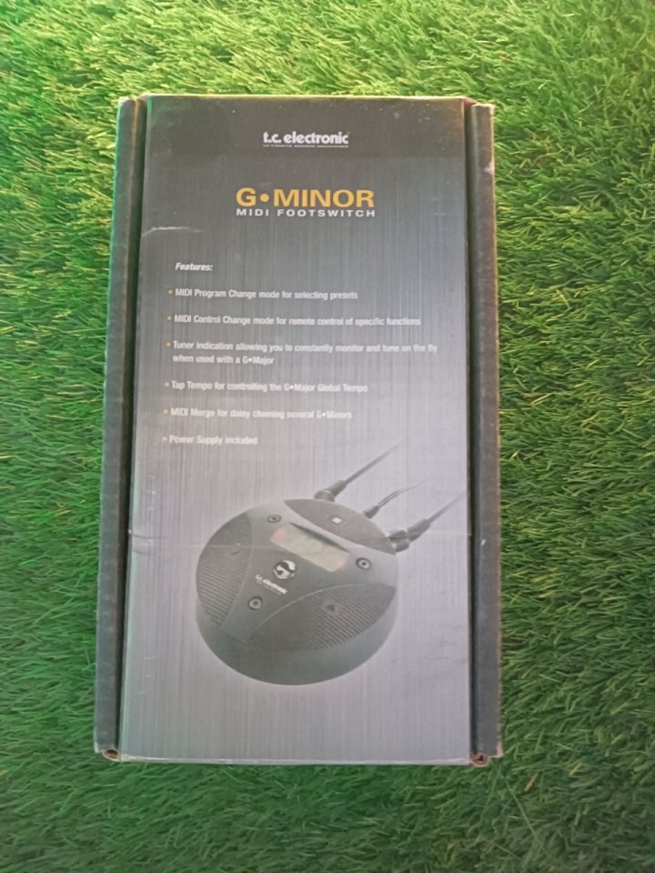 Pedal MIDI Tc Electronics G Minor de segunda mano · Foto 1 de 3 · Gipuzkoa · 70 €