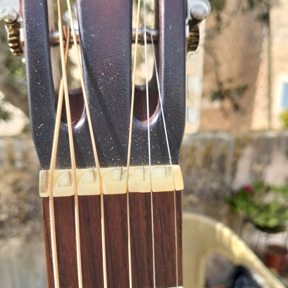 National Resophonic Jazz & Blues de 1992