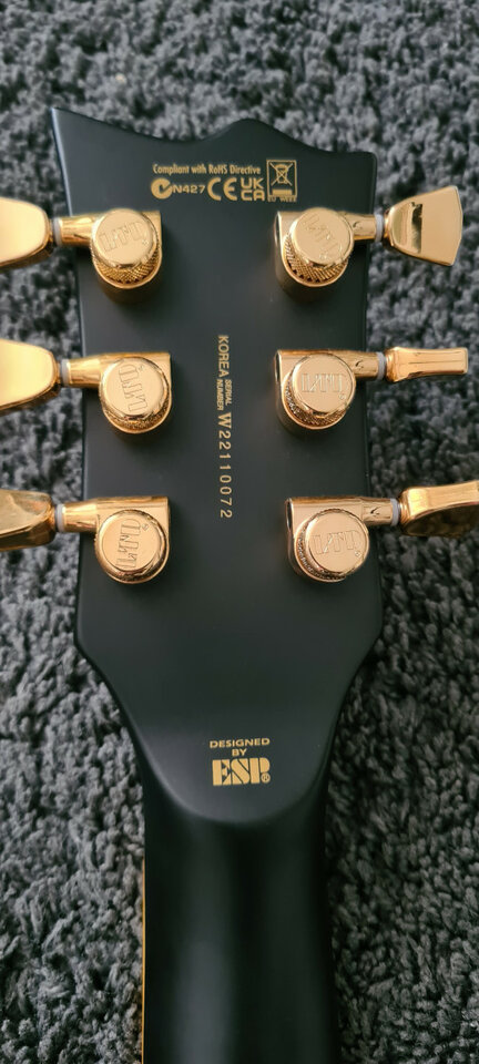 Guitarra Robada! Ltd ec1000