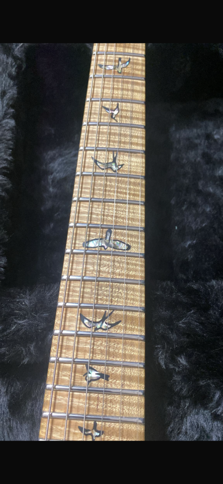 Guitarra PRs custom 24
