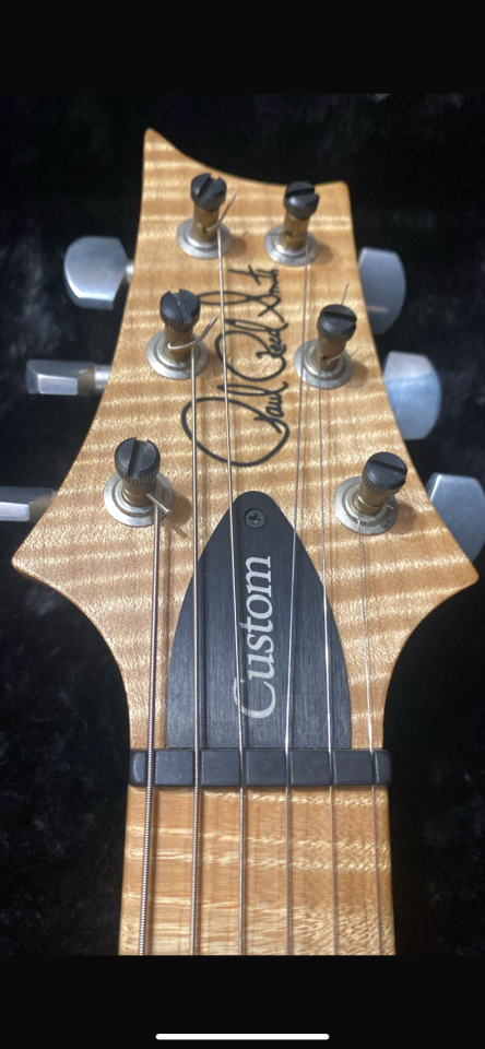 Guitarra PRs custom 24