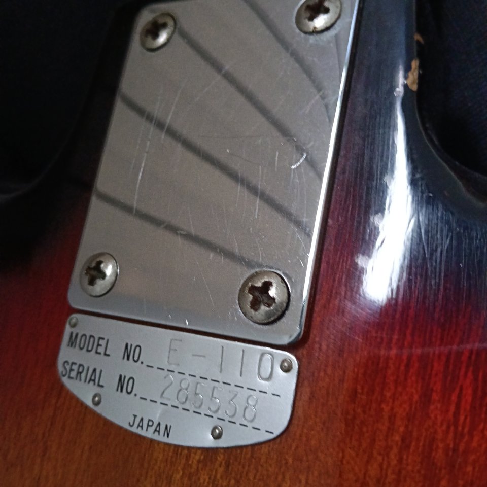 Teisco del rey de segunda mano · Foto 8 de 9 · A Coruña · 450 €