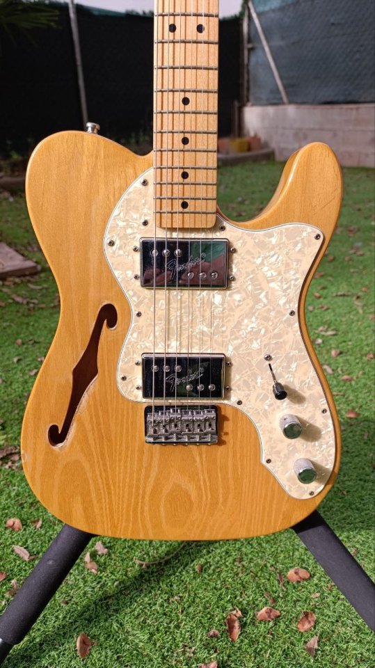 Guitarra Fender Telecaster Thinline 72 MIM 2005 de segunda mano · Foto 2 de 10 · Barcelona · 800 €