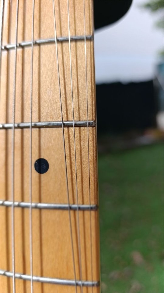 Guitarra Fender Telecaster Thinline 72 MIM 2005 de segunda mano · Foto 6 de 10 · Barcelona · 800 €