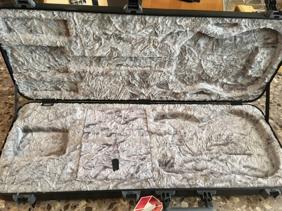 Reservado! Estuche de guitarra eléctrica Fender Deluxe Molded Strat/Tele Case