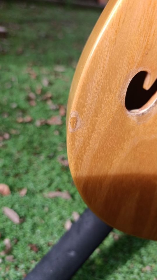 Guitarra Fender Telecaster Thinline 72 MIM 2005 de segunda mano · Foto 7 de 10 · Barcelona · 800 €