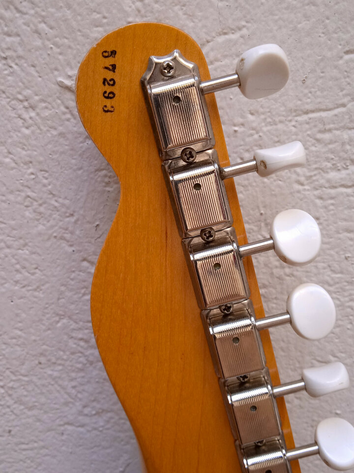 2020 Moon Reggae Master Junior o Jr. con pastillas P-90's  Made in Japan