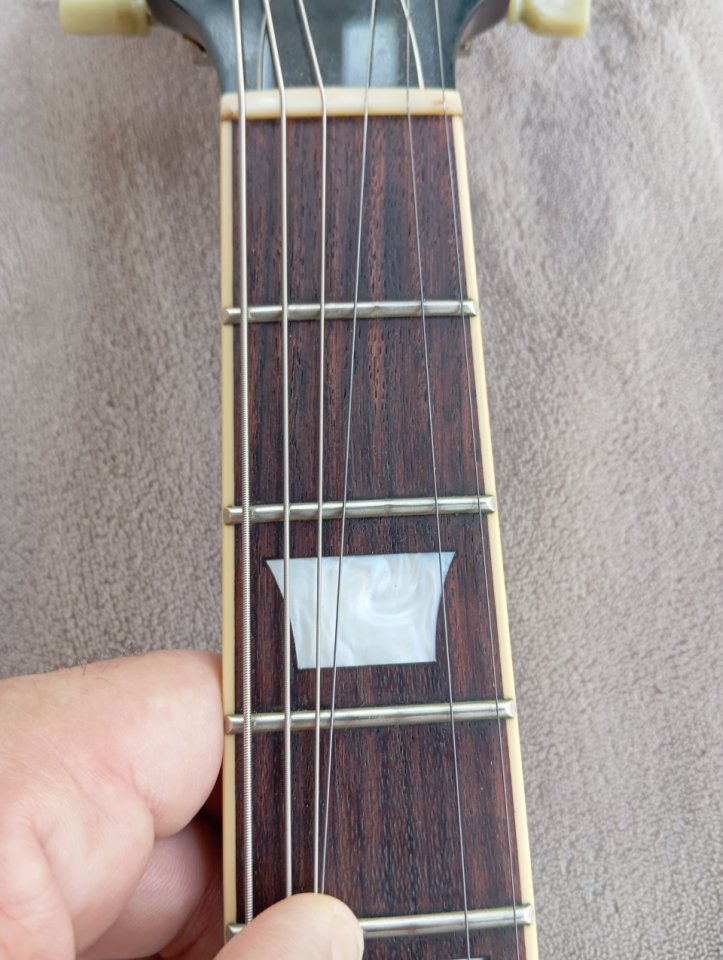 Edwards SG Japan by ESP