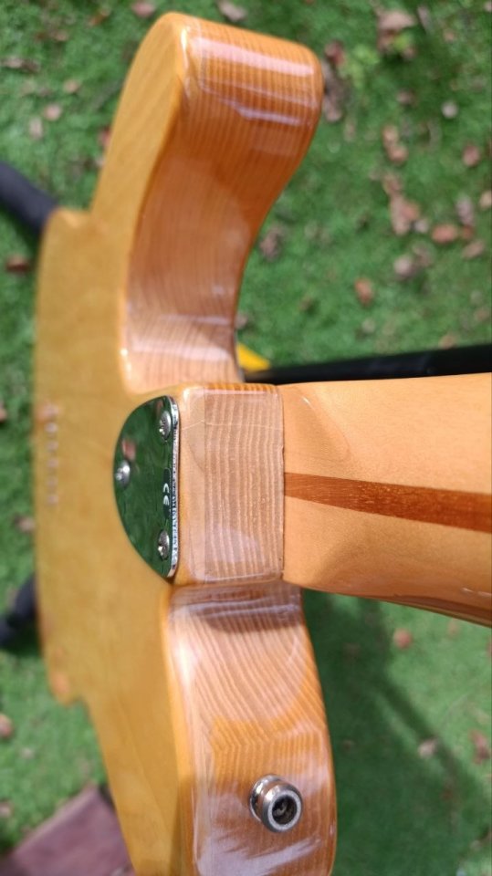 Guitarra Fender Telecaster Thinline 72 MIM 2005 de segunda mano · Foto 9 de 10 · Barcelona · 800 €