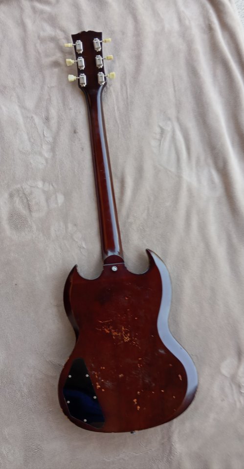 Edwards SG Japan by ESP